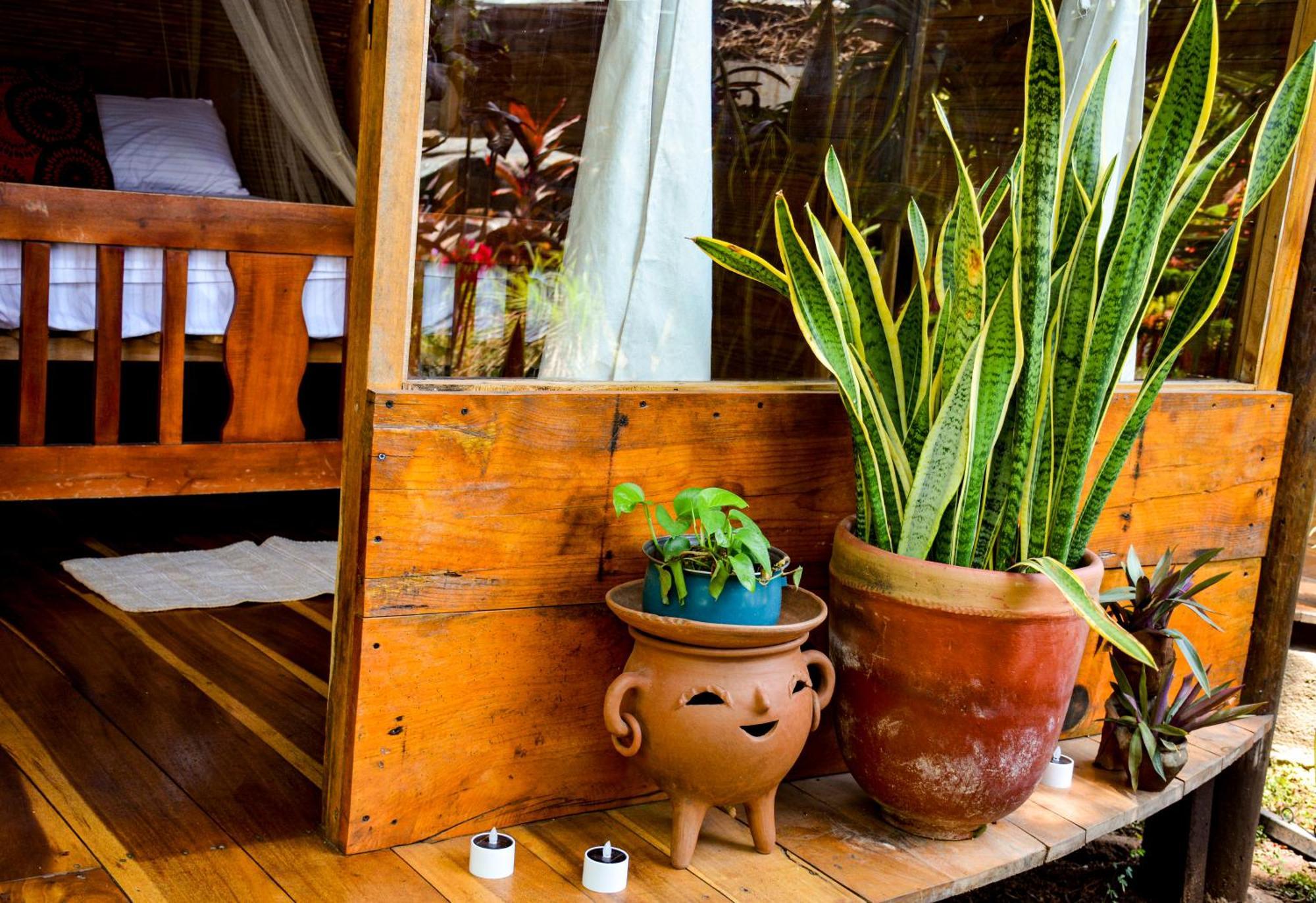 Casa Caracola Hotel กรานาดา ภายนอก รูปภาพ