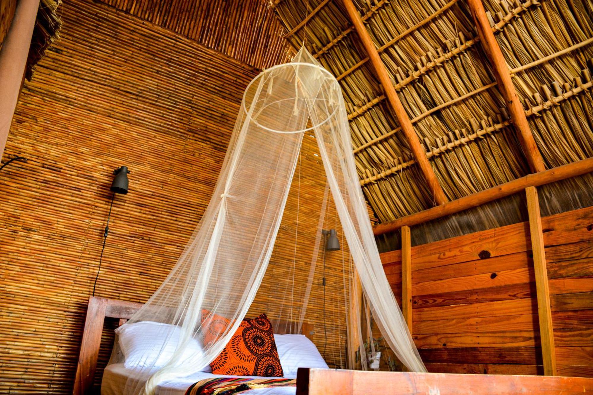 Casa Caracola Hotel กรานาดา ภายนอก รูปภาพ