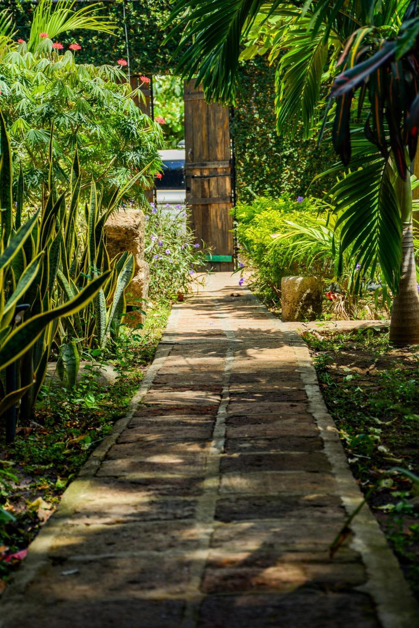 Casa Caracola Hotel กรานาดา ภายนอก รูปภาพ