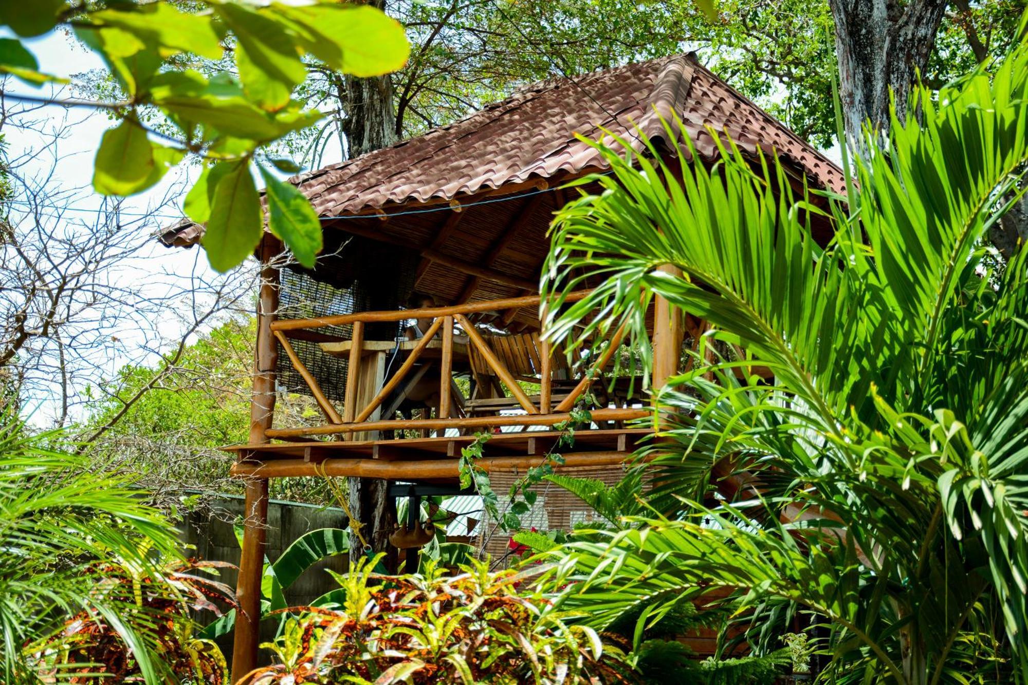 Casa Caracola Hotel กรานาดา ภายนอก รูปภาพ