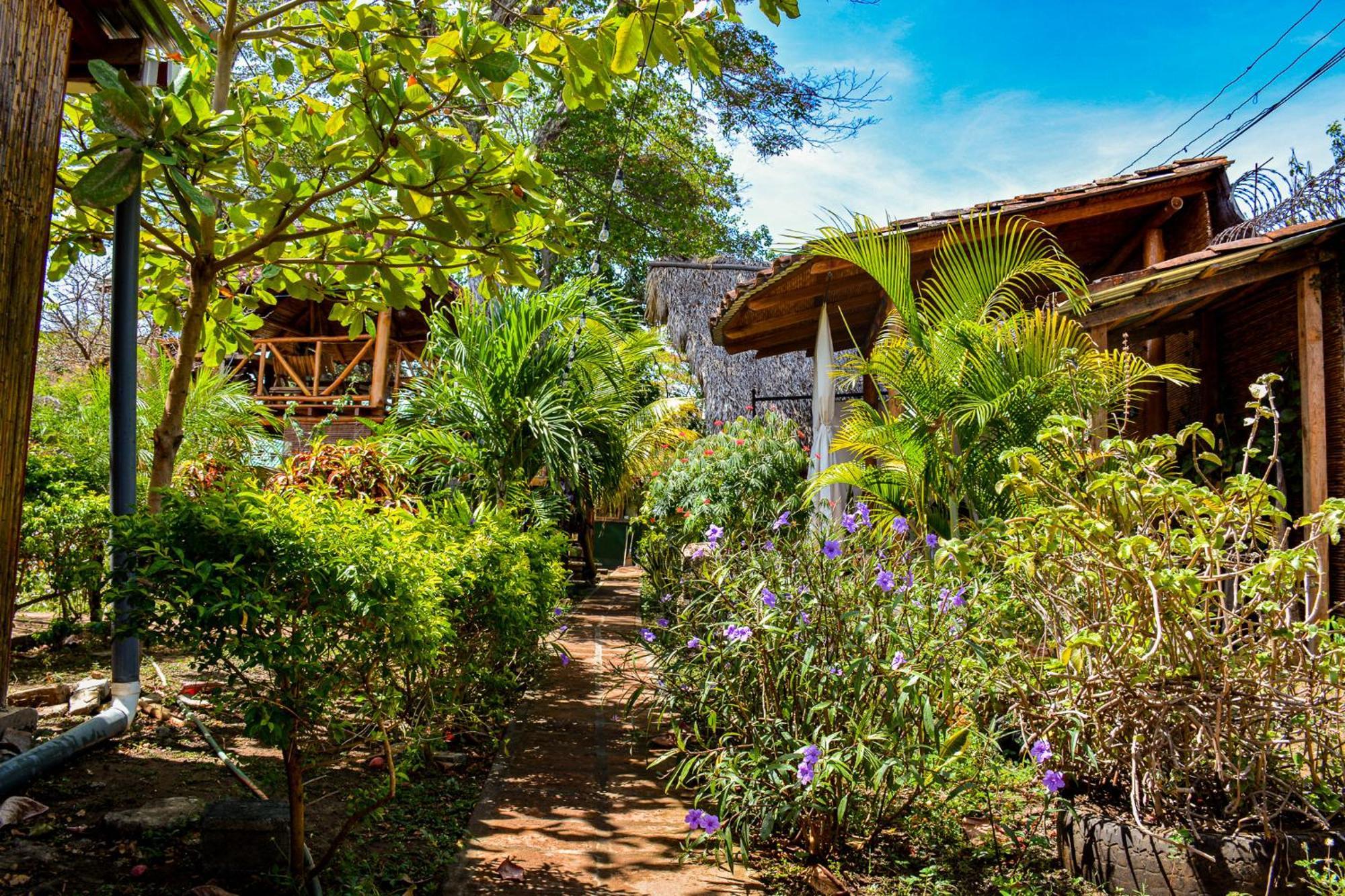 Casa Caracola Hotel กรานาดา ภายนอก รูปภาพ